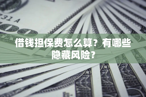 武汉借钱担保费怎么算？有哪些隐藏风险？
