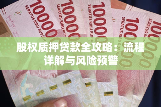 武汉股权质押贷款全攻略：流程详解与风险预警
