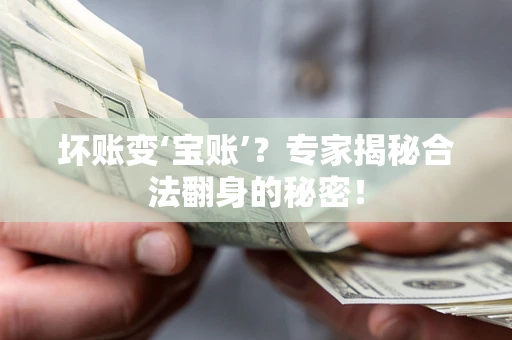 武汉坏账变‘宝账’？专家揭秘合法翻身的秘密！