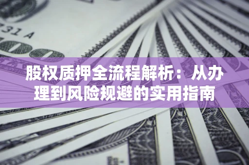 武汉股权质押全流程解析：从办理到风险规避的实用指南