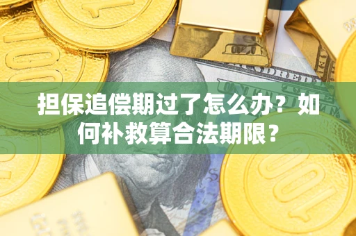 武汉担保追偿期过了怎么办？如何补救算合法期限？