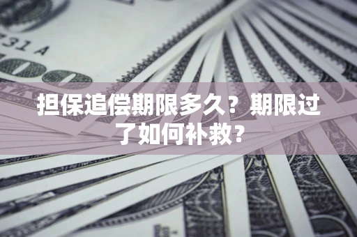 武汉担保追偿期限多久？期限过了如何补救？