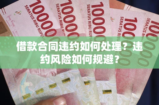 武汉借款合同违约如何处理？违约风险如何规避？