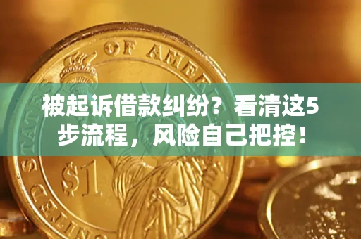 武汉被起诉借款纠纷？看清这5步流程，风险自己把控！