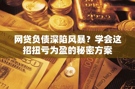 武汉网贷负债深陷风暴？学会这招扭亏为盈的秘密方案